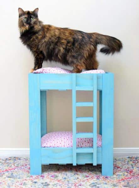 How to Build Cat Bunk Beds