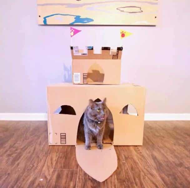 How to Build a DIY Cardboard Cat Castle
