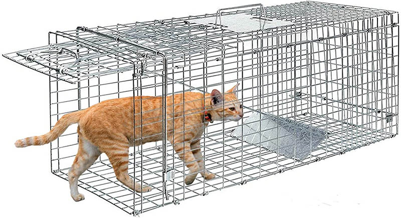 Drop Traps for Catching Feral & Stray Cats