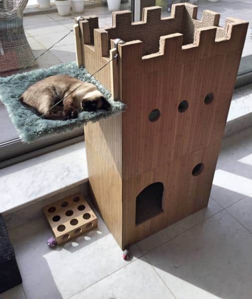 I built a cat castle