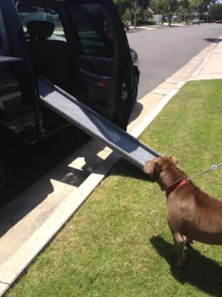 Inexpensive Doggie Ramp1