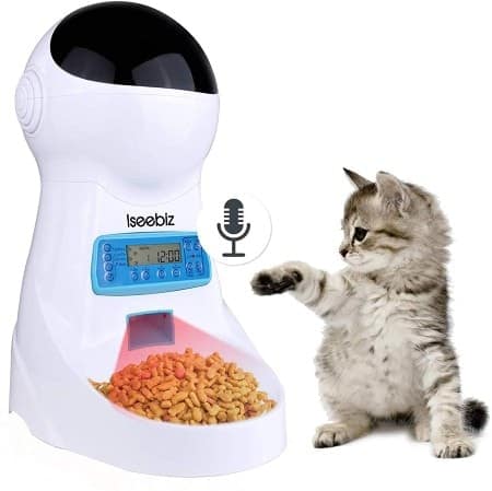 Outdoor automatic cat feeder hotsell