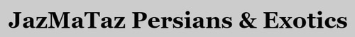 Jazmataz persians logo