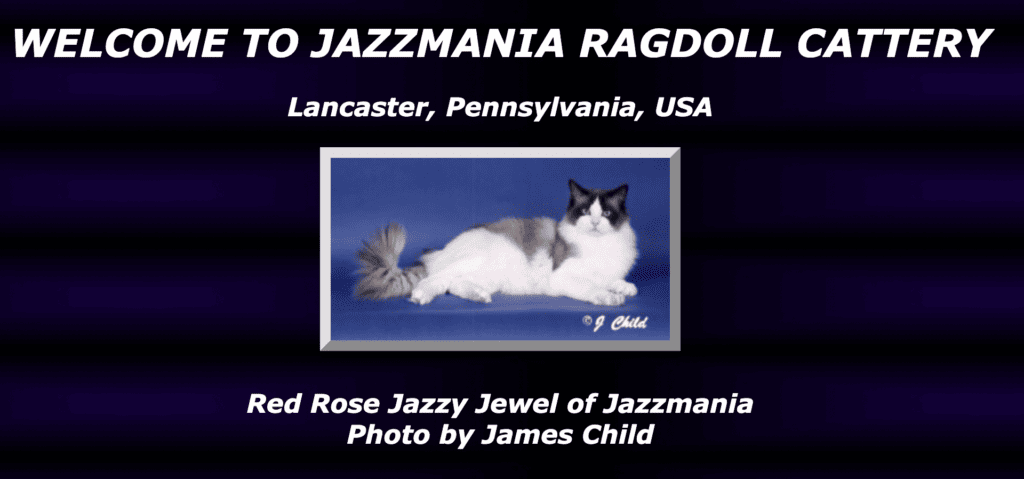 Jazzmania Ragdolls