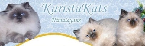 Karista kats logo