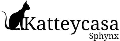Katteycasa logo