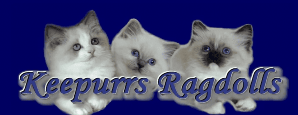 Keepurrs Ragdolls