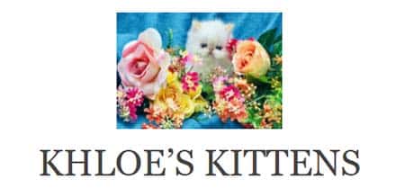 Khloe’s Kittens Cattery