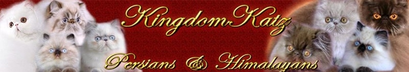 KingdomKatz Persians & Himalayans logo
