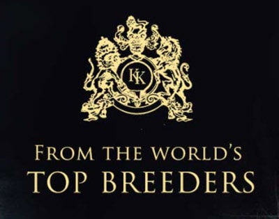 Kingsley Kittens logo