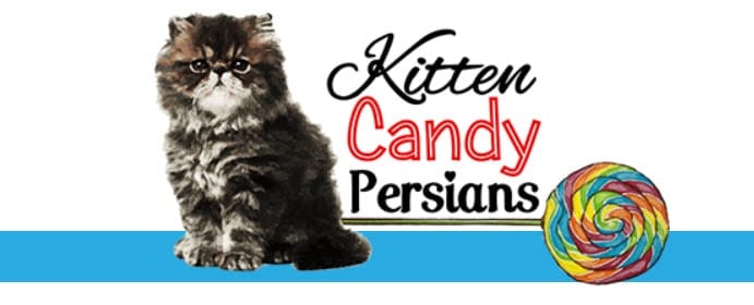 Kitten Candy Persians logo