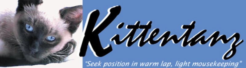 Kittentanz logo