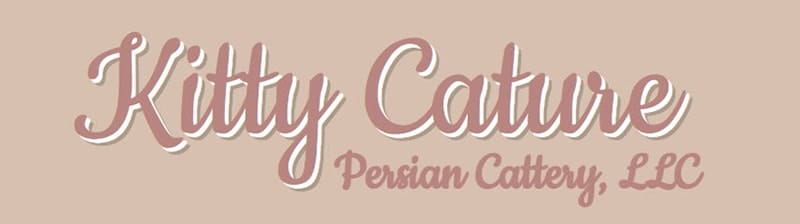 Kitty Cature logo