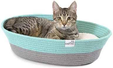 Kitty City Cat Bed