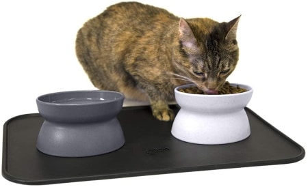 Kitty City Raised Cat Bowl Collection