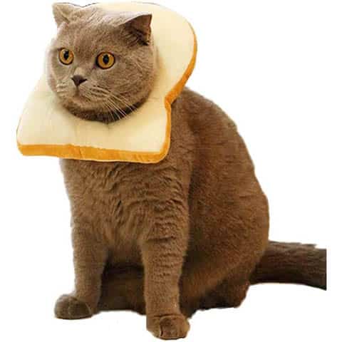 Komii Pet Bread Slice Collar