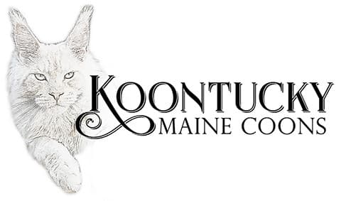 Koontucky logo