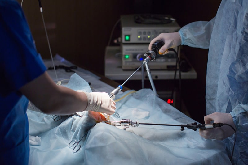 Laparoscopic Spay Surgery