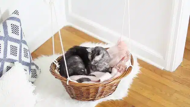 Laudry basket cat bed