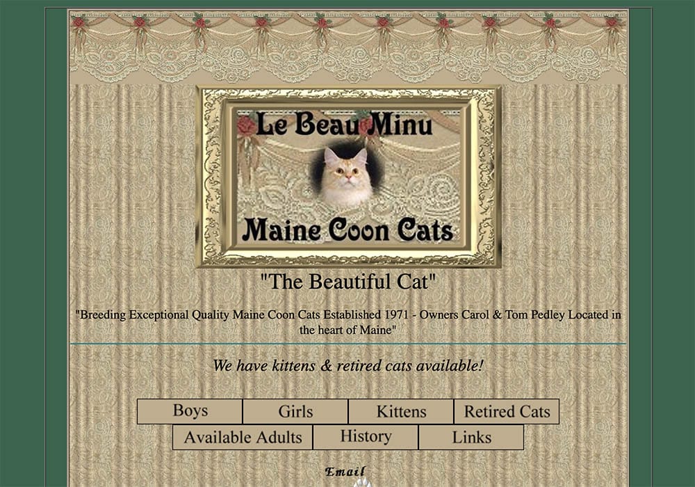 Le Beau Minu Maine Coon Cats