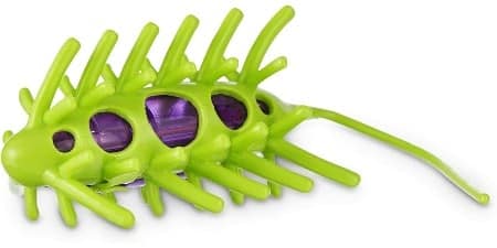 Leaps & Bounds Wiggle Bug Cat Toy