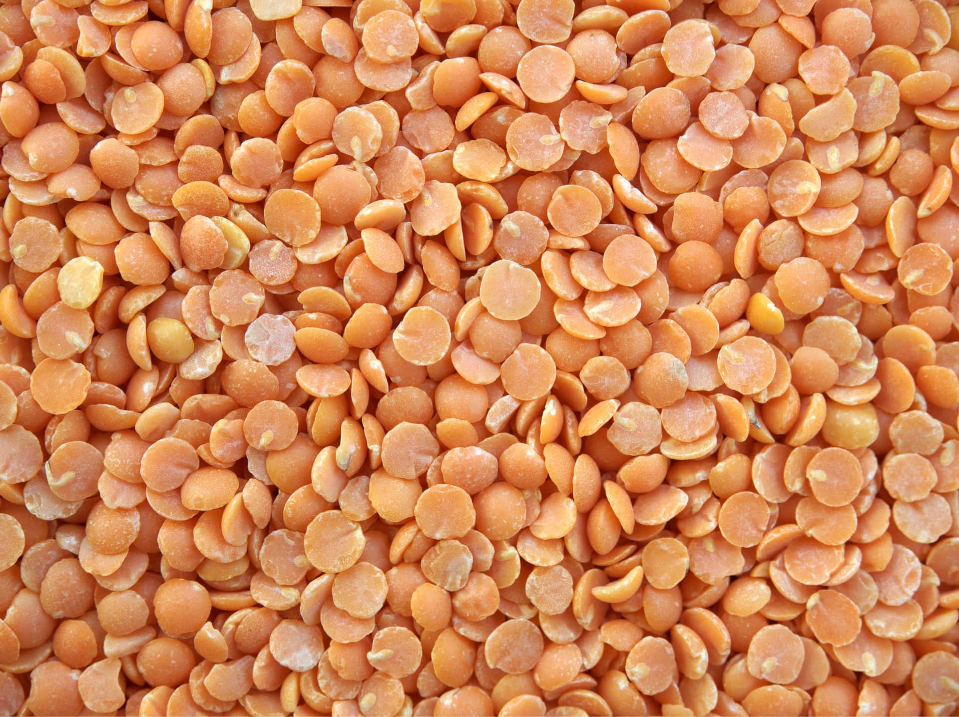 Lentils