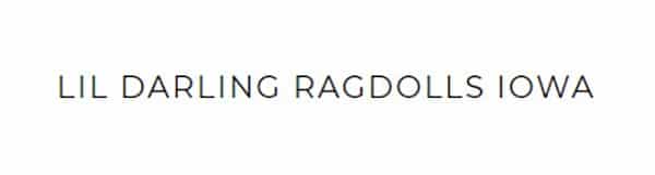 Lil Darling Ragdolls logo