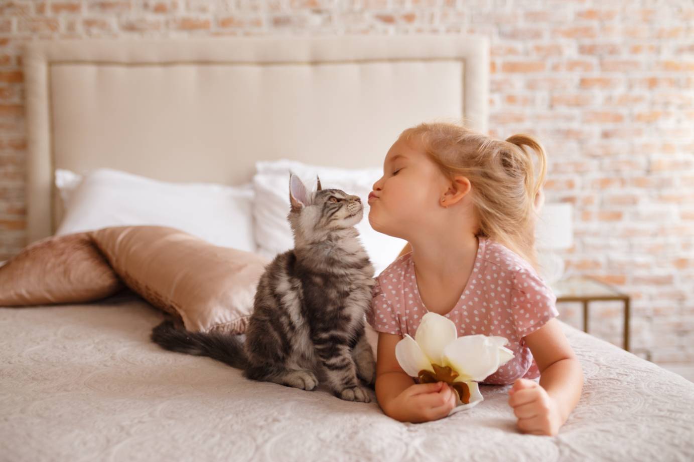 Little girl relaxing on the bed with her kitten
