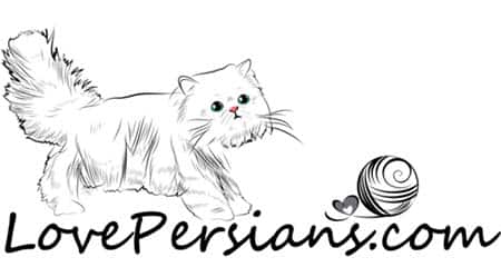 Love Persians Cattery