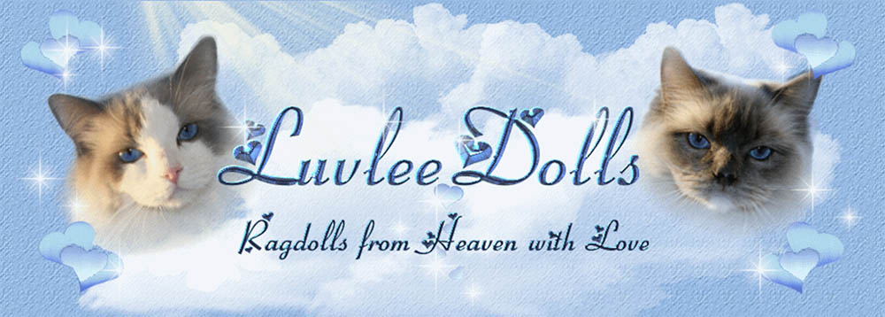 Luvlee Dolls