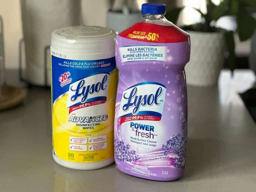 Does Lysol Kill Fleas on Cats? Effectiveness & Safety Explored Catster