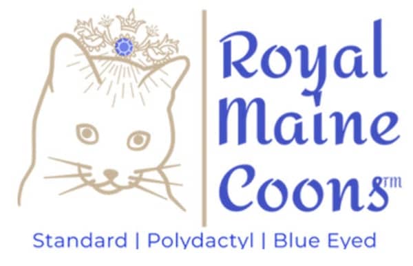 MTTA Maine Coon Cattery logo