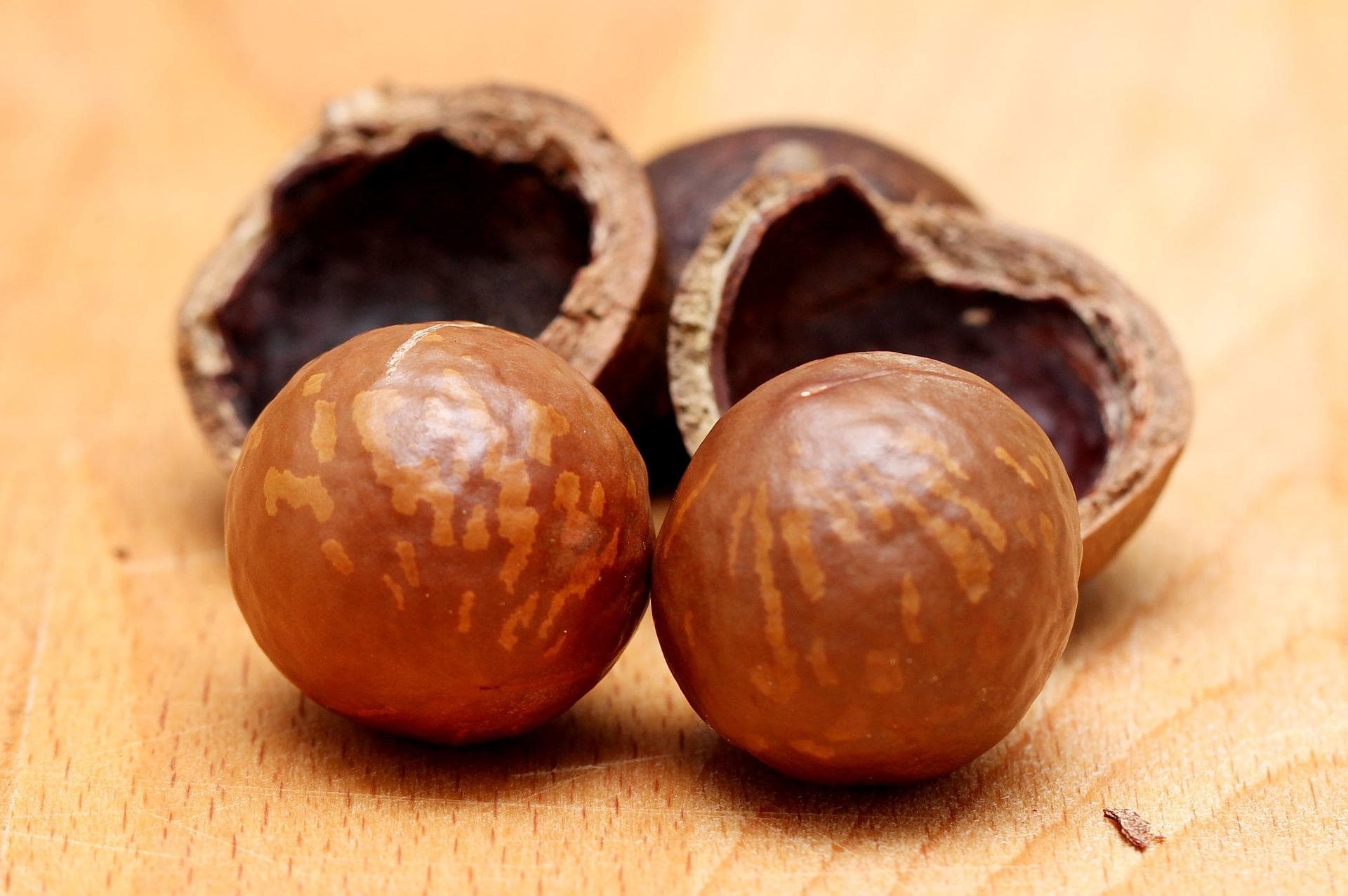 Macadamia Nut