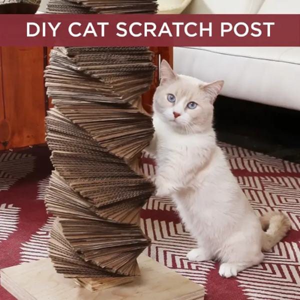 Make Fluffy's Day With This DIY Cat Scratch Post