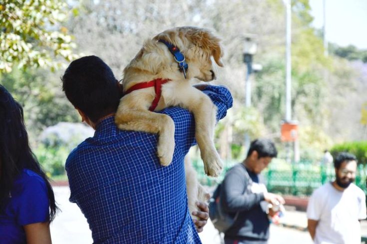 Man carrying a Dog
