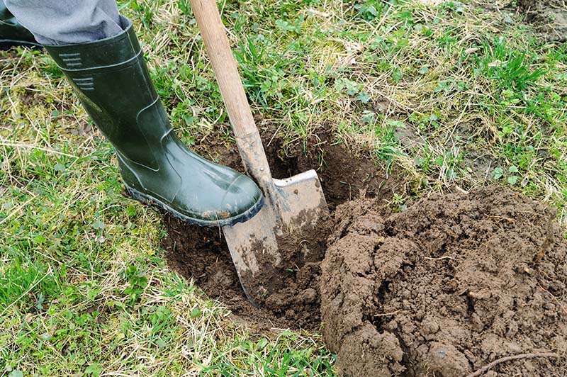 Man digs a hole to plant tree
