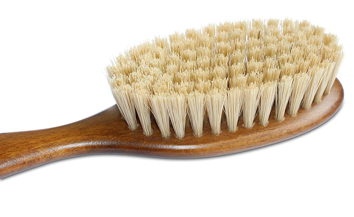 Mars Boar Bristle Cat Hair Brush up close