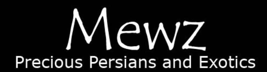 Mewz Precious Persians and Exotics