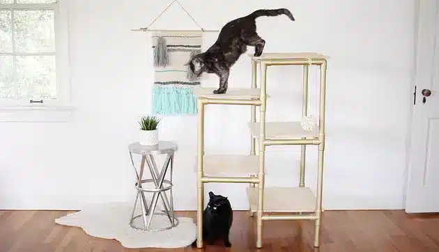 Modern Cat Tree With PVC Pipe By Cuteness