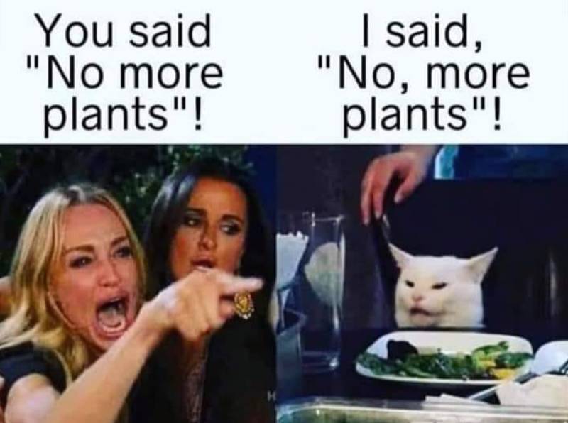 More Plants