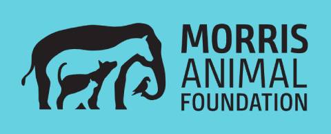 Morris Animal Foundation logo