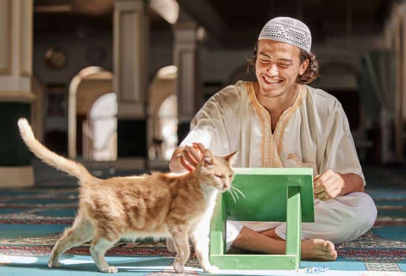 Muslim/Islam man petting a cat in a mosque