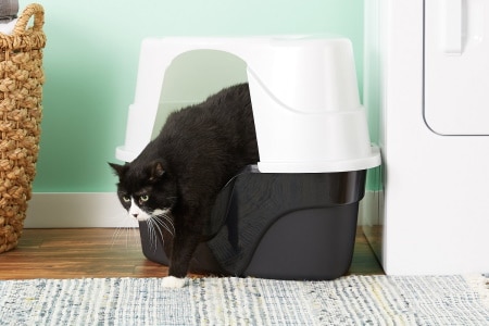 Natures-Miracle-Corner-Litter-Box