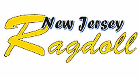 New Jersey Ragdoll