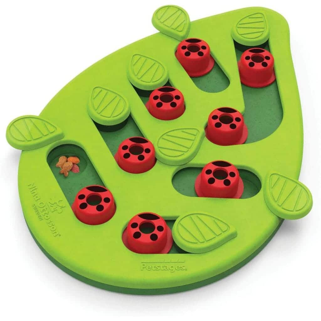 BEST Enrichment Toys & Puzzles REVIEWED! 