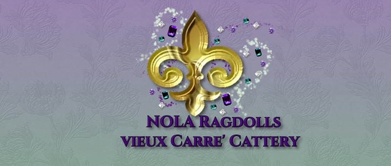 Nola Ragdolls Vieux Carre’ Cattery logo