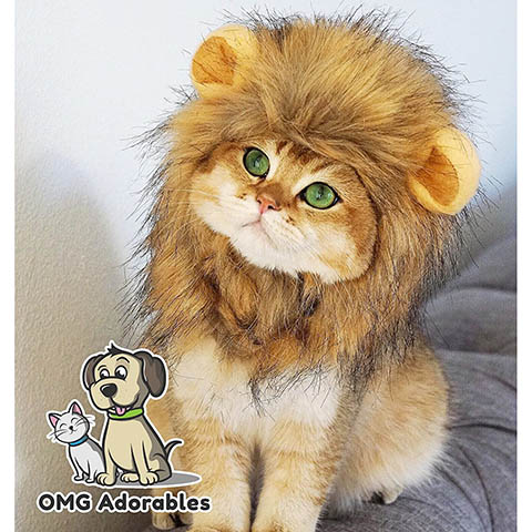 OMG Adorables Lion Mane Costume for Cats