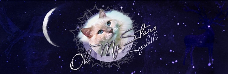 Oh My Stars Ragdolls logo