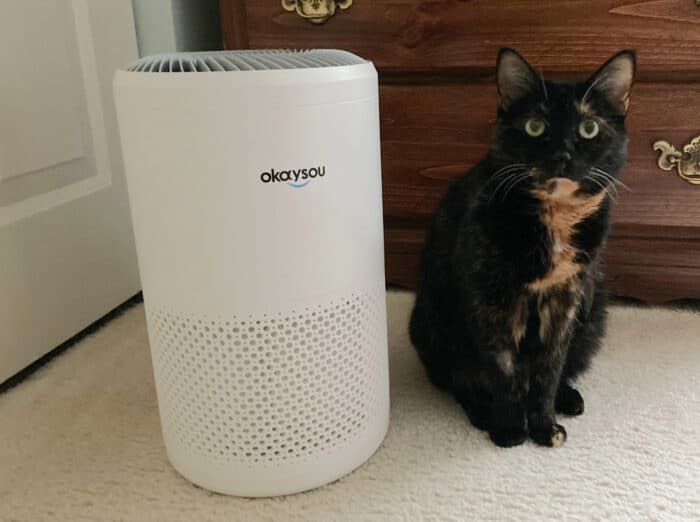 okaysou-air-purifier-cat