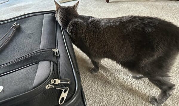 Olga inspecting my suitcase